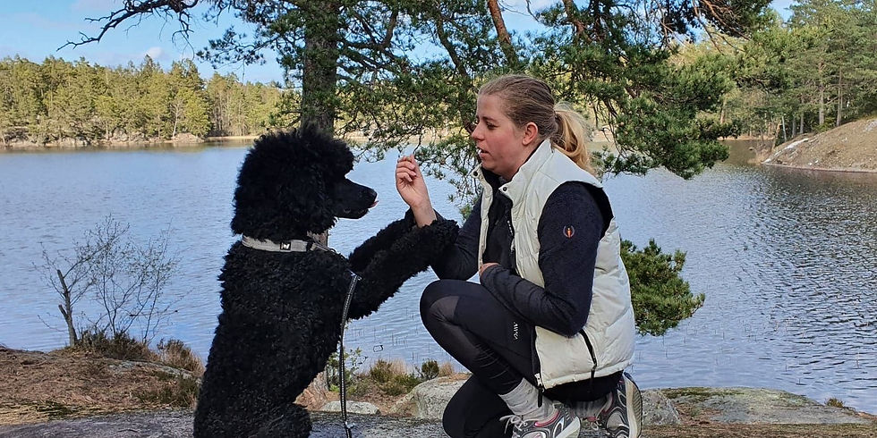 UNGHUNDSKURS