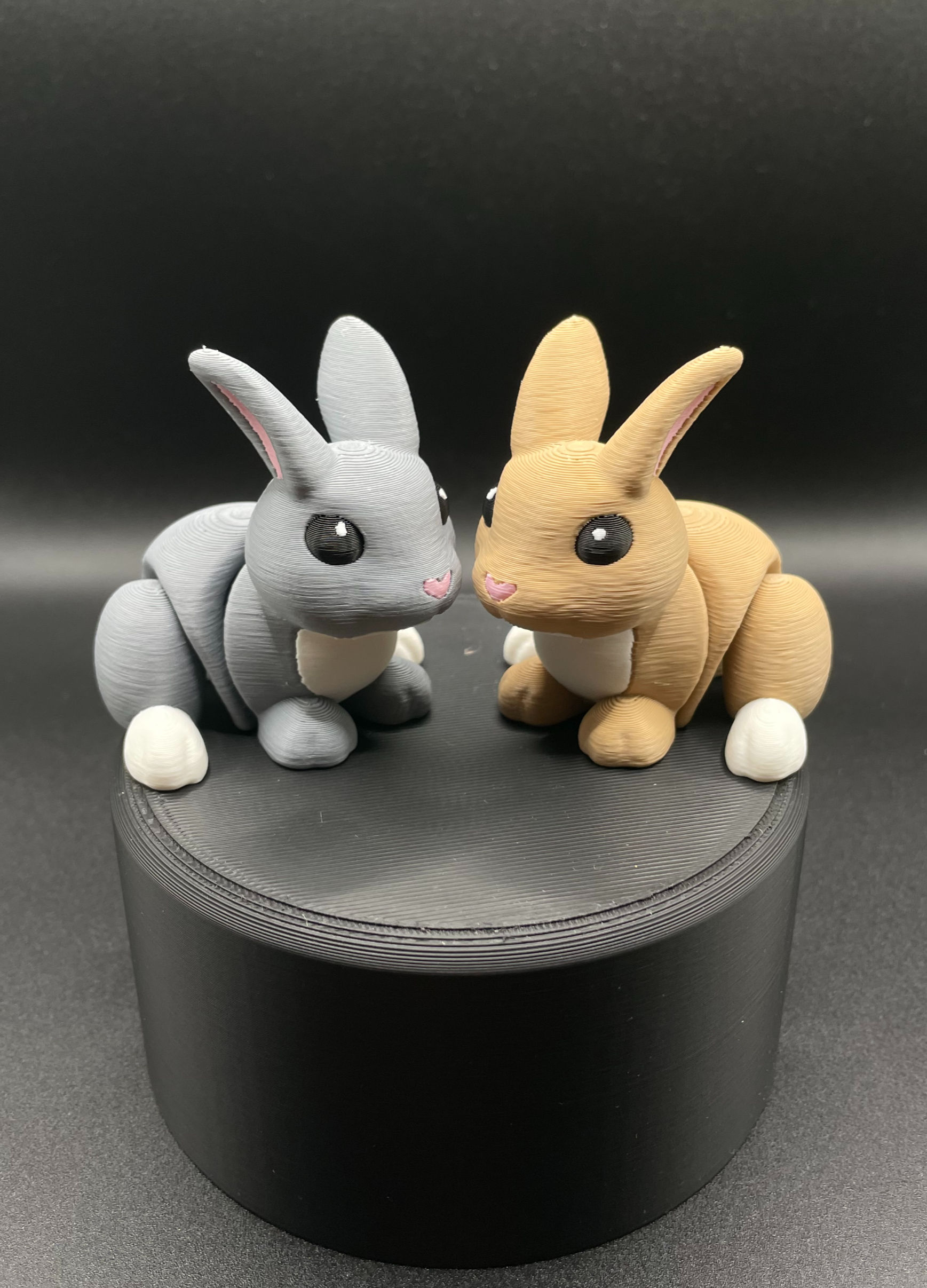 Bounding Bunny