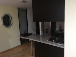 Apartaestudio Amoblado AMB-101-3