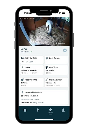 visuel_web_app_notifications__6_-removebg-preview.png