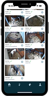 visuel web app notifications.png