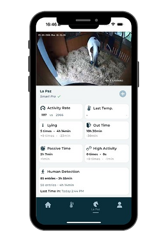 visuel_web_app_notifications__6_-removebg-preview (1).png