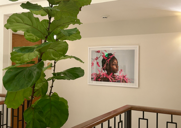 La Comuna Art Consulting, Alma: Luxury Boutique Hotel