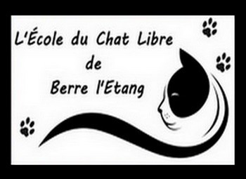 Ecole Du Chat Libre De Berre L Etang Faire Un Don