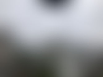 早起挑战 57/60/100(冥想100天,我得到了什么)