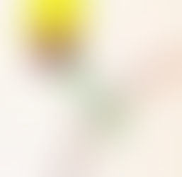 【读给大人听的童话】小王子 第七章