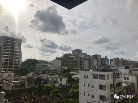 早起挑战 59/60/100(种子总会发芽的)