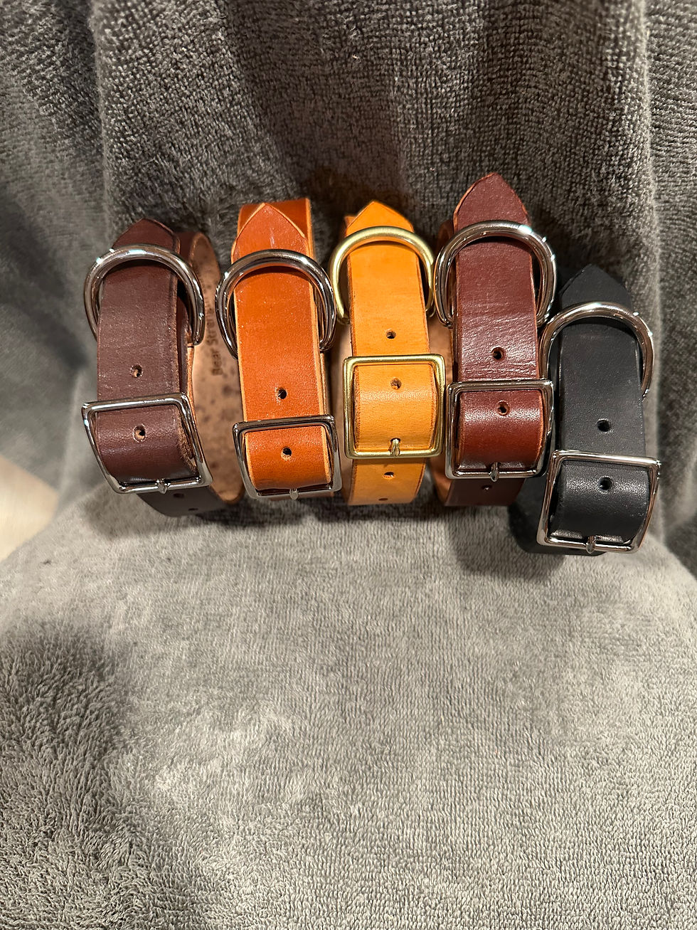 Thumbnail: Small Dog Collars