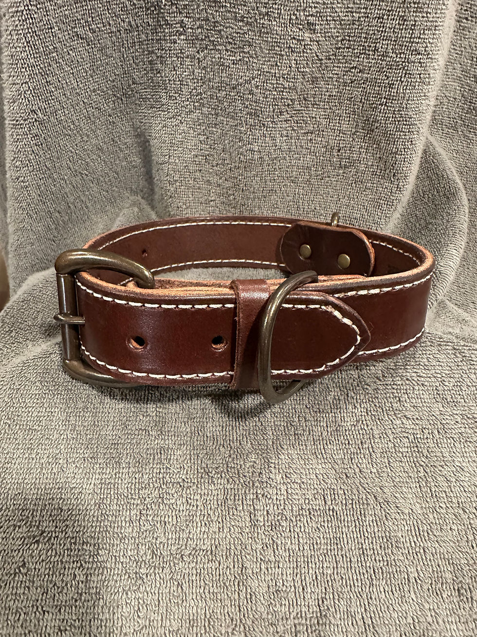 Thumbnail: EX Large Dog Collars