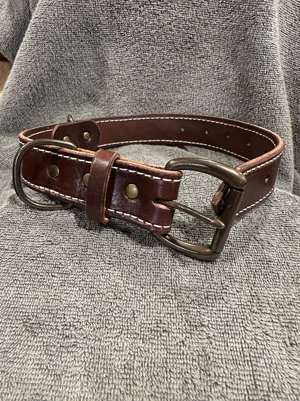 Thumbnail: Large Dog Collars