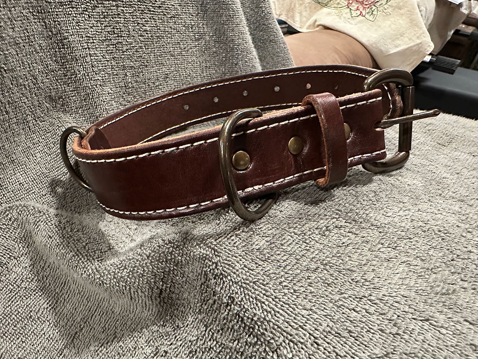 Thumbnail: Large Dog Collars