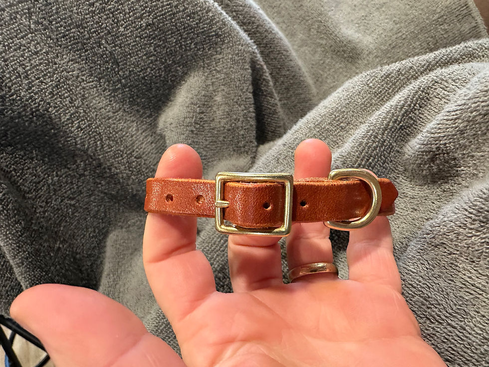 Thumbnail: X Small Dog Collars