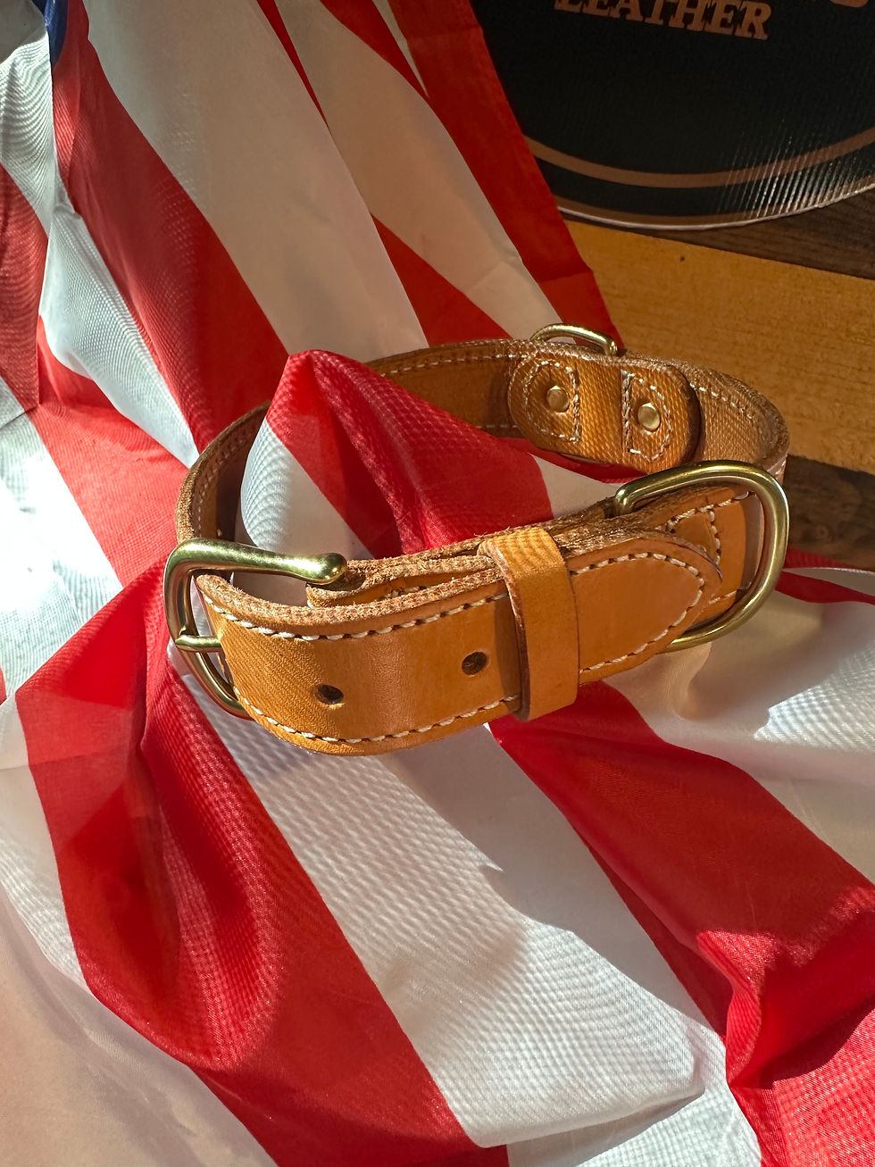 Thumbnail: Large Dog Collars