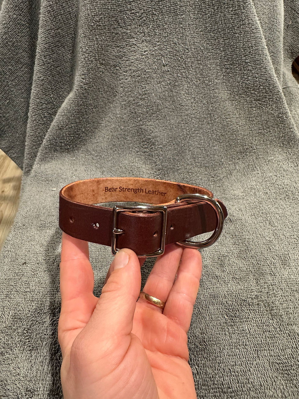 Thumbnail: Small Dog Collars