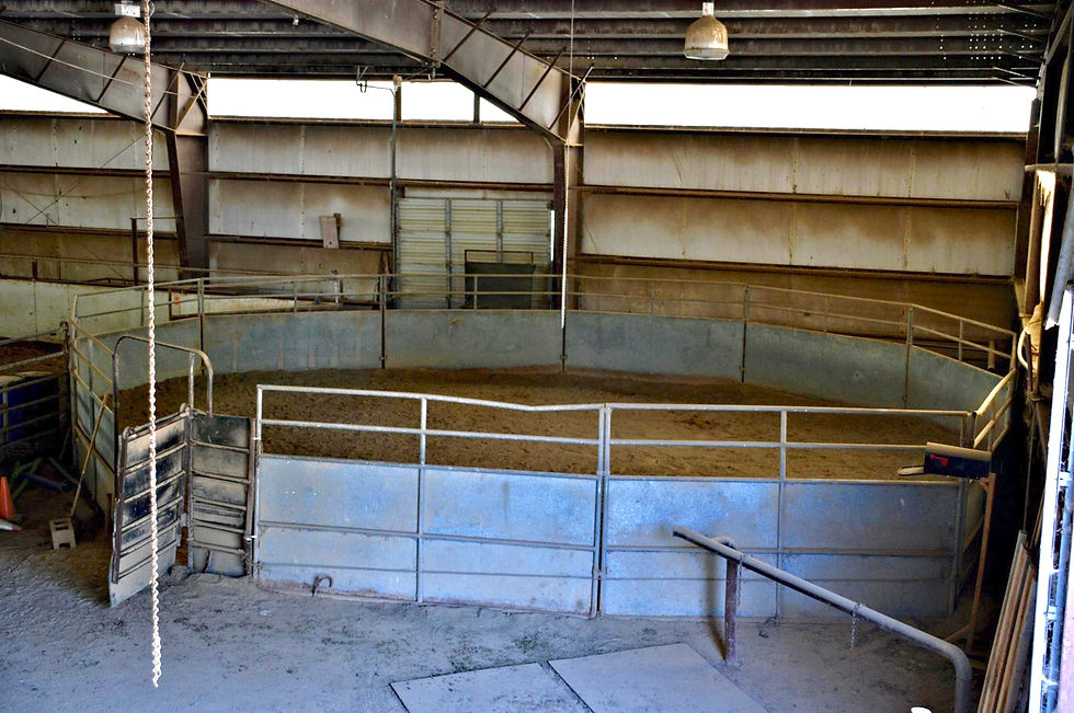 Indoor Round Pen