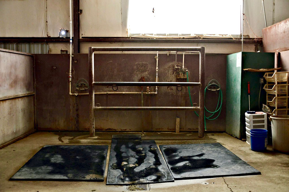 Wash Stall