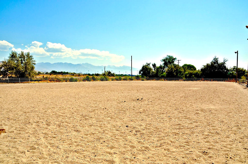 Outdoor Arena