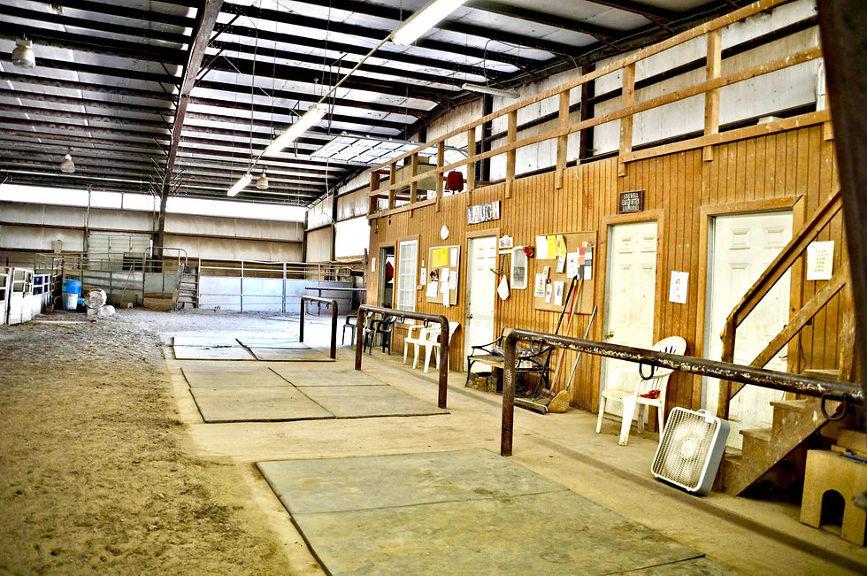 Tack Rooms & Tie Up Rack
