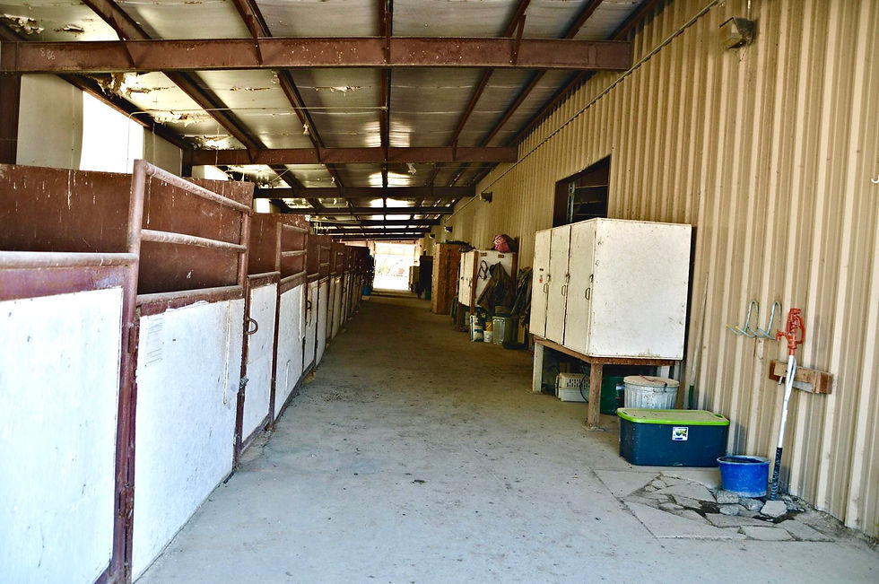 Horse Stalls