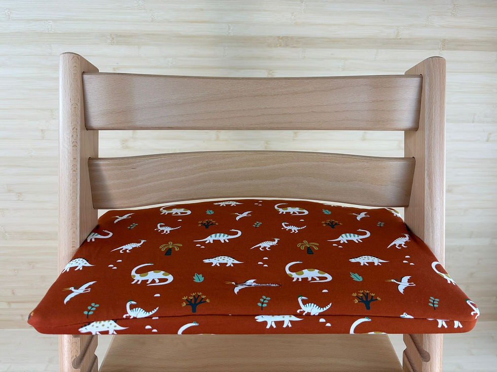 Miniaturbild: Sitzkissen «Dinosaurier»