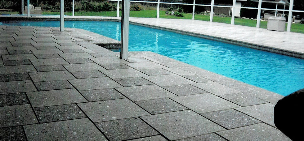 New Live, Palm Beach