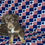 Thumbnail: Mini Aussie AKC ASDR New Mexico Texas Arizona Colorado Red Tri