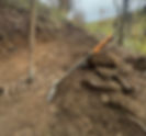 Die Trail News mit den aktuellen Infos rund im den Bikepark und die Arbeit auf den MTB-Strecken.