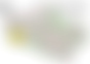 ラスト１区画です！