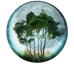 medição de terra, topografia, agrimensor em Tijucas SC