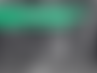 “IT Ekspertu vizīte” uz LU Rododendru selekcijas un izmēģinājumu audzētavu "Babīte"