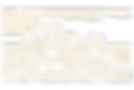 INI_BrandAssets_2024.07.16-21.png