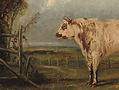 CS_Art-04_edited.jpg