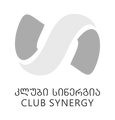 logo-sinergia_edited.png