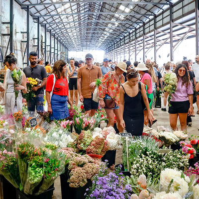 Best Things to Do in Sydney This November | What’s On November In Sydney