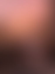 Best Things to Do in Sydney This April | What’s On