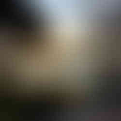 Barangaroo Reserve Sunset