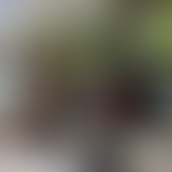 Best Cafés in Sydney for Design Lovers