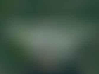 A banner titled "Introductory Biology" with biology related graphics in the background