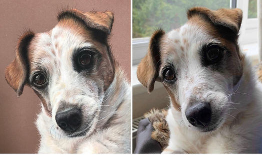 Archie comparrison.jpeg