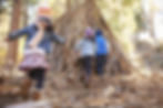 dreamstime_m_78935784.jpg