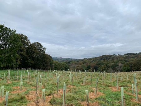 Reducing emissions from funerals