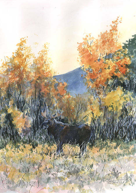 lone Moose 12x16 lo res.jpg