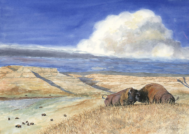 Bison Herd #3 21x29 lo res.jpg