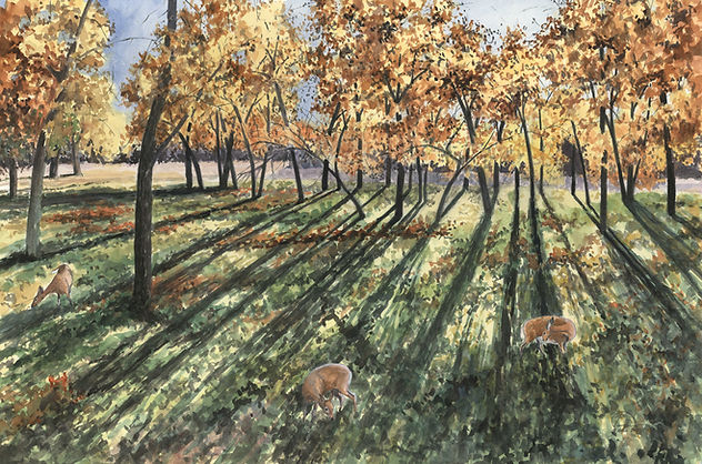 Long Shadows #2 14x21 lo res.jpg
