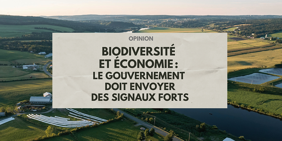 Biodiversité et économie : le gouvernement doit envoyer des signaux forts