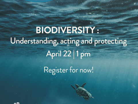 Special events in partnership with Earth Day Canada for Earth Day 2025