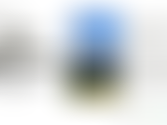 22 mai: Des actions locales à l’impact mondial -  événement de la Journée de la biodiversité 2026