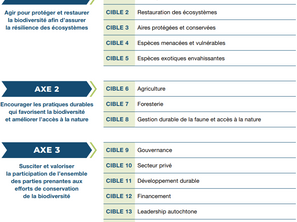Plan nature 2030 – Quelles actions sont financées au Québec?