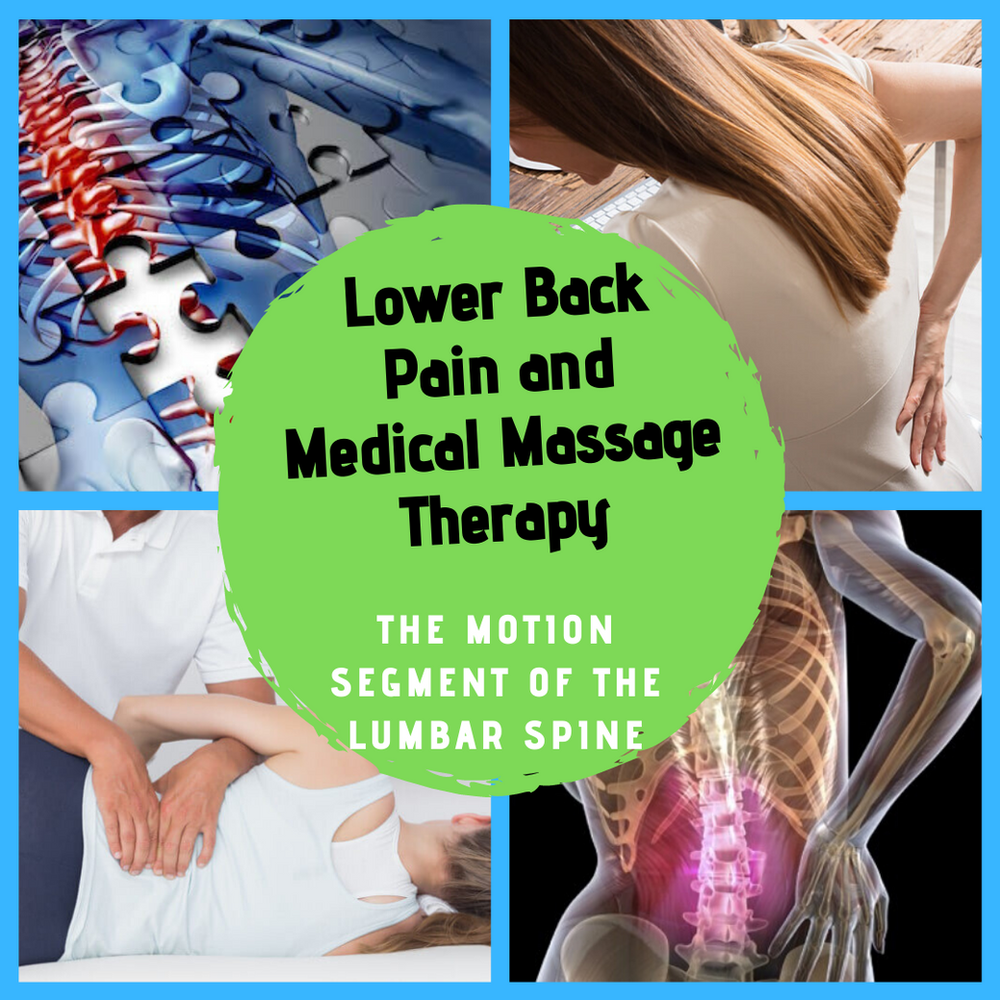 Lower Back Pain and Medical Massage Therapy The Motion Segment of the