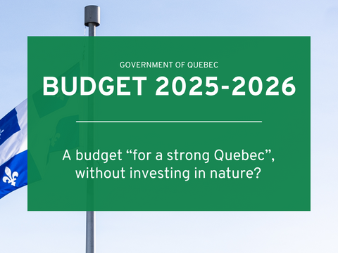 A budget “for a strong Quebec”, without investing in nature?